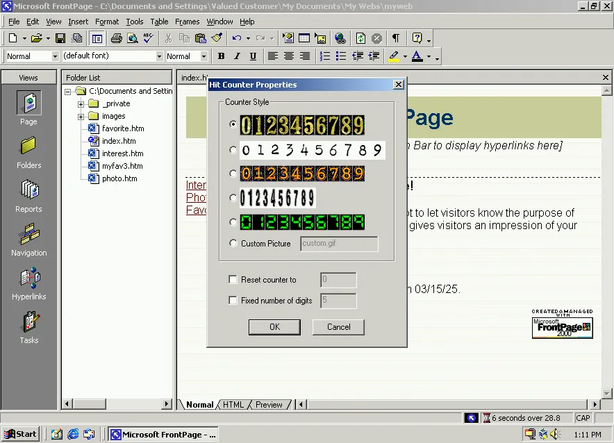 Important decision time: which hit counter should I put on my site?? (FrontPage 2000)